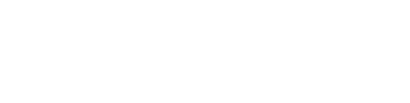 Panini Logo