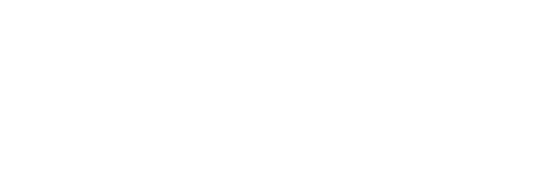 Fanatics Logo